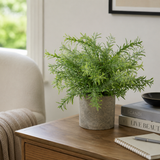 Artificial Faux Rosemary Herb Plant Stone Pot | Kitchen UK