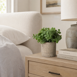 Artificial Faux Basil Herb Plant Stone Pot | Kitchen UK