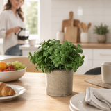 Artificial Faux Basil Herb Plant Stone Pot | Kitchen UK