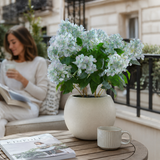 Artificial Faux Green Hellebore Plant Taupe Pot UK