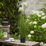 Artificial Faux White Agapanthus Plant Pot | Tall UK