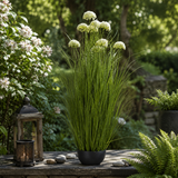 Artificial Faux White Allium Plant Black Pot | Tall UK