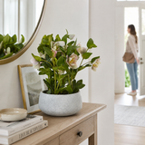 Artificial Faux Variegated Pink Hellebore Grey Pot UK