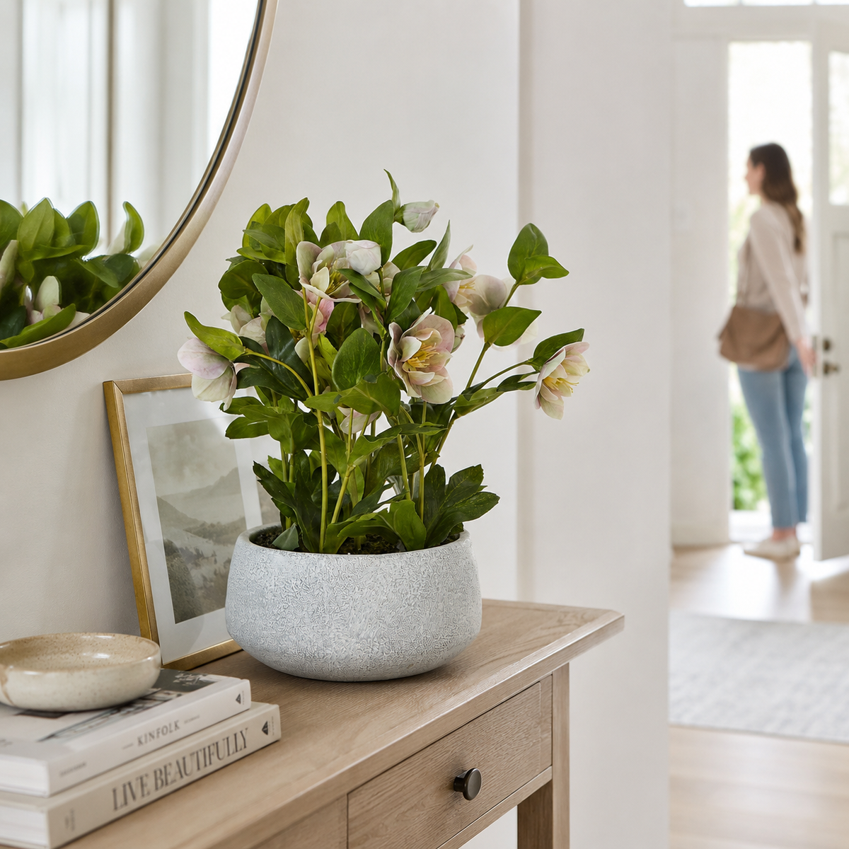 Artificial Faux Variegated Pink Hellebore Grey Pot UK