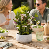 Artificial Faux Variegated Pink Hellebore Grey Pot UK