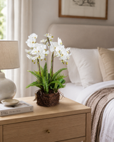 Artificial Faux White Orchid Fern Rootball Garden | Luxury UK