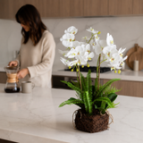 Artificial Faux White Orchid Fern Rootball Garden | Luxury UK