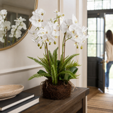 Artificial Faux White Orchid Fern Rootball Garden | Luxury UK