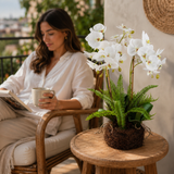 Artificial Faux White Orchid Fern Rootball Garden | Luxury UK