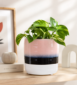 Salome Small Pink Dip Dye Effect Planter