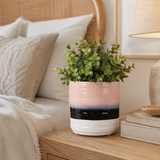 Salome Small Pink Dip Dye Effect Planter