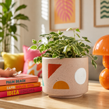 Kayla Cream Small Abstract Planter