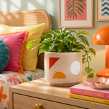 Kayla Cream Small Abstract Planter