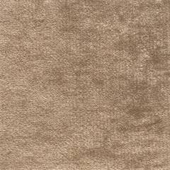 Plush Velvet | Pebble